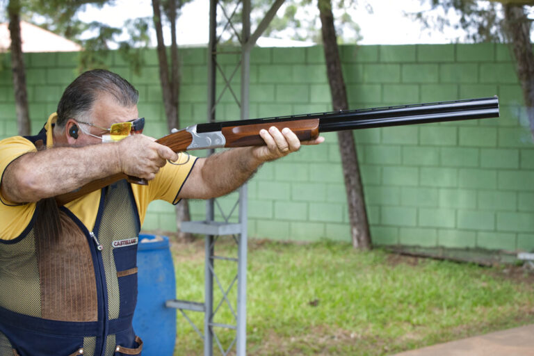 Brazil Guns Rights
