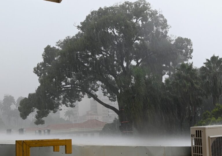 Chuva em Campinas Prefeitura registra queda de 15 árvores