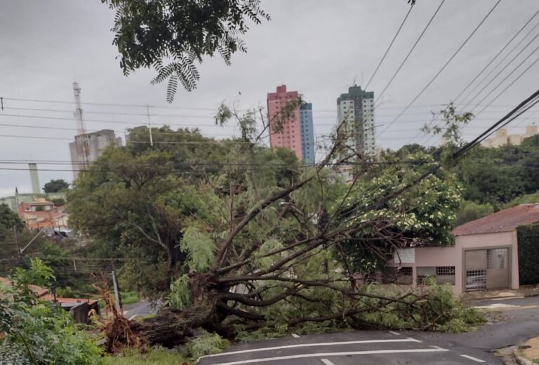 Campinas e região seguem em estado de atenção para ventos fortes