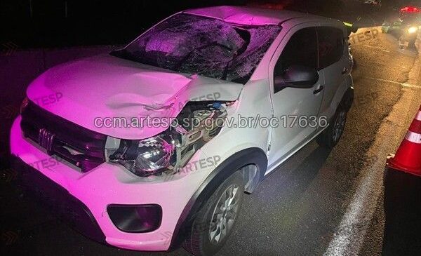 Pedestre morre após ser atropelado na Rodovia Anhanguera Campinas