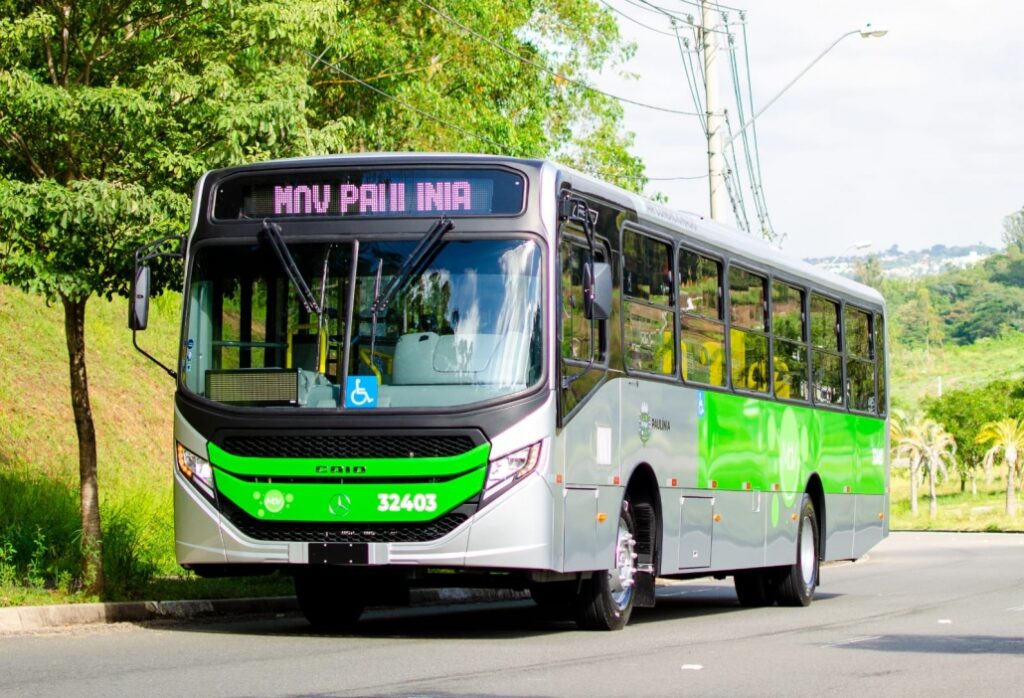 MoV Paulinia Grupo Belarmino